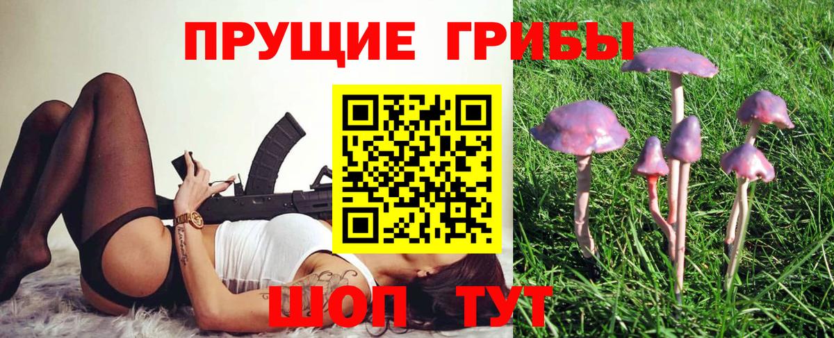 Галлюциногенные грибы MAGIC MUSHROOMS  Вход с VPN  Кыштым 