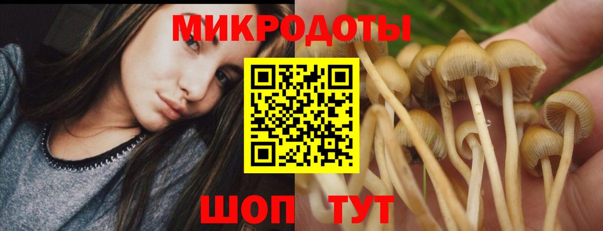 Галлюциногенные грибы MAGIC MUSHROOMS Кыштым